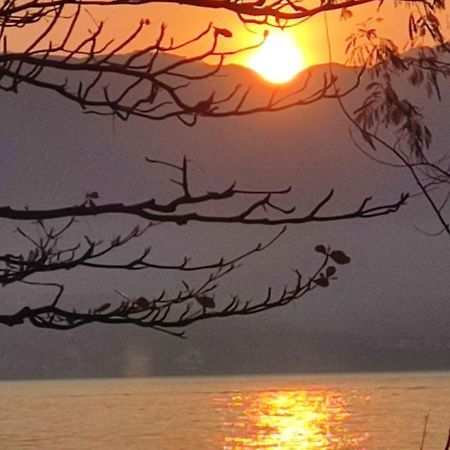 Recanto Toca Das Plantas De Ilhabela I Exteriör bild