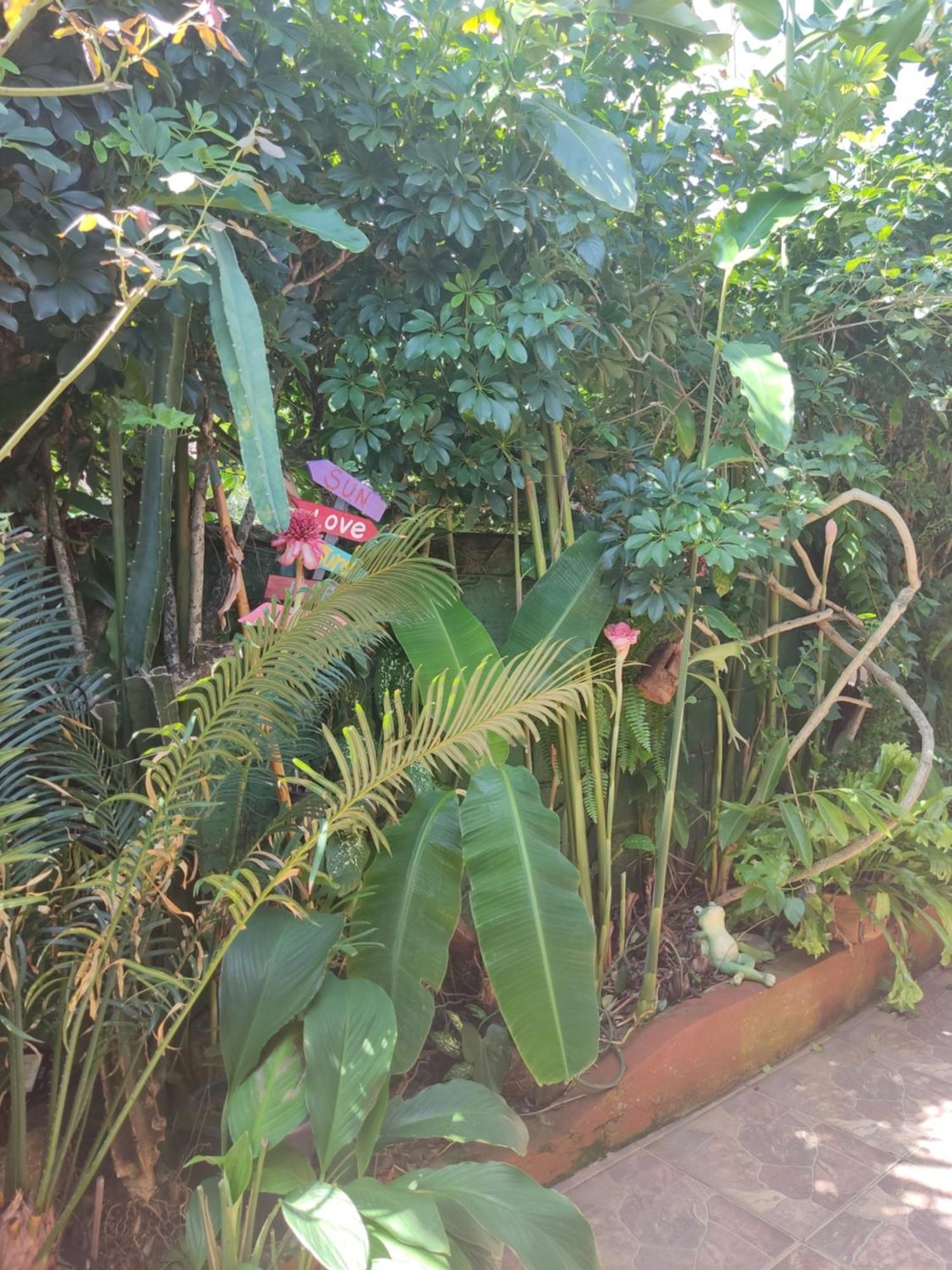 Recanto Toca Das Plantas De Ilhabela I Rum bild
